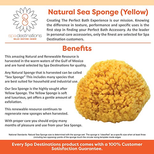 Natural Sea Sponge Small 4-5" By Spa Destinations®"Creating The Perfect Bath And Shower Experience" Amazing Natural Renewable Resource! #TOP1