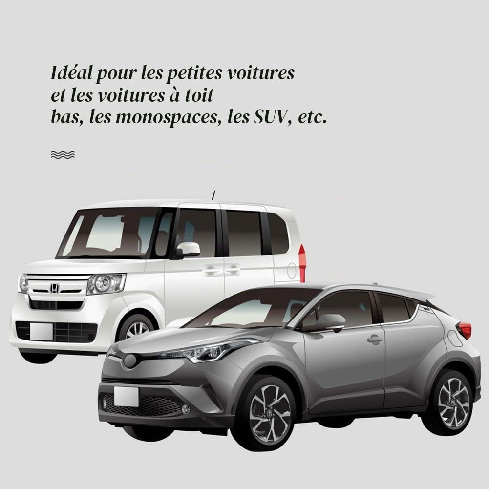 LITTLEMOLE Support universel et réglable de canne à pêche pour véhicule (SUV, wagons, camionnettes)