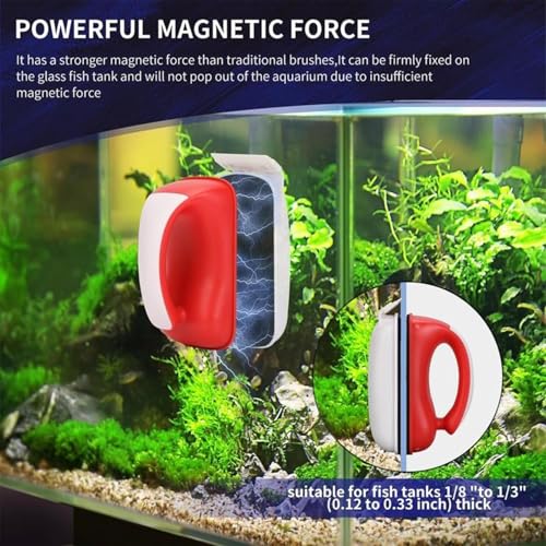 Grattoir à algues pour aquarium et brosse double face magnétique