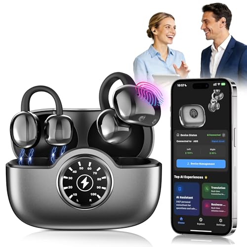 AI Translation Earbuds with Independent Chip