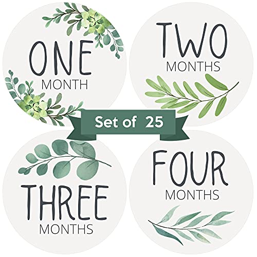 Image of Baby Monthly Stickers - Set of 25 - Greenery Botanical Baby Milestone Stickers - Monthly Milestones for Newborn Boys or Girls - Sage Green Boho Eucalyptus Unisex Gender Neutral Design - (Set of 25)