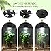 Maxdot Glass Plant Terrarium Kit with Light for Succulent, Moss, Miniature Gardening Landscape, Betta Fish Tank, Office Home Decoration, Plant Lovers Gifts(9.8 x 5.9 Inch)