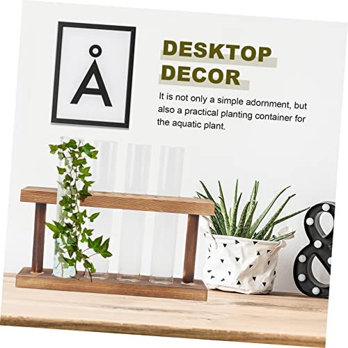 Decoración moderna para plantas acuáticas en jarrón de vidrio 4