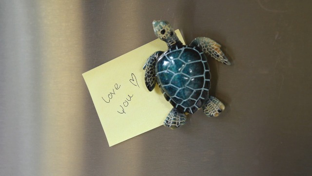 Imán Decorativo Tortuga Azul 3x2 Pulgadas miniatura 7