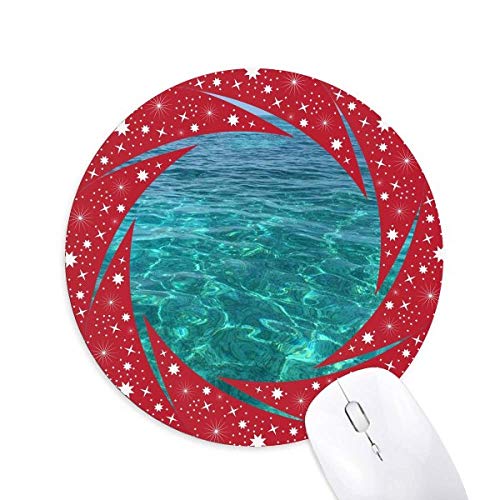 Cm̉Ȋw͎R̎ʐ^ ~`S̐Ԃ̃zC[pbh