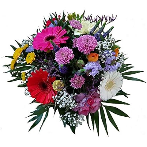 Flora Trans Blumenstrauß zum Geburtstagoder einfach mal um Danke zu sagen -Blumenstrauß der Jahreszeit - Lieferung in 1-2 WERKTAGE Cover