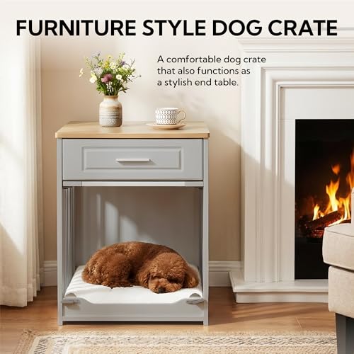 Cage pour petit chien caisse en bois d'intérieur grise