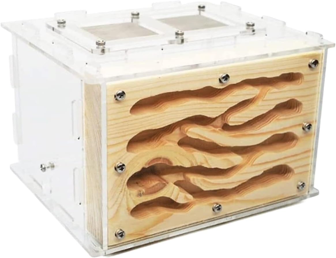 Ant Farm Creative Ant Castle DIY Eco Acrylic Wood Farm with Feeding Area Nest Habitat