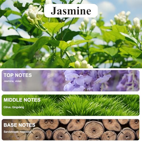 Image of Smart Car Air Freshener Refill, 100 ML Car Diffuser Perfume, Lasts 4-6 months, Made with Natural Plant Extracts, French Imported Fragrance - Jasmine