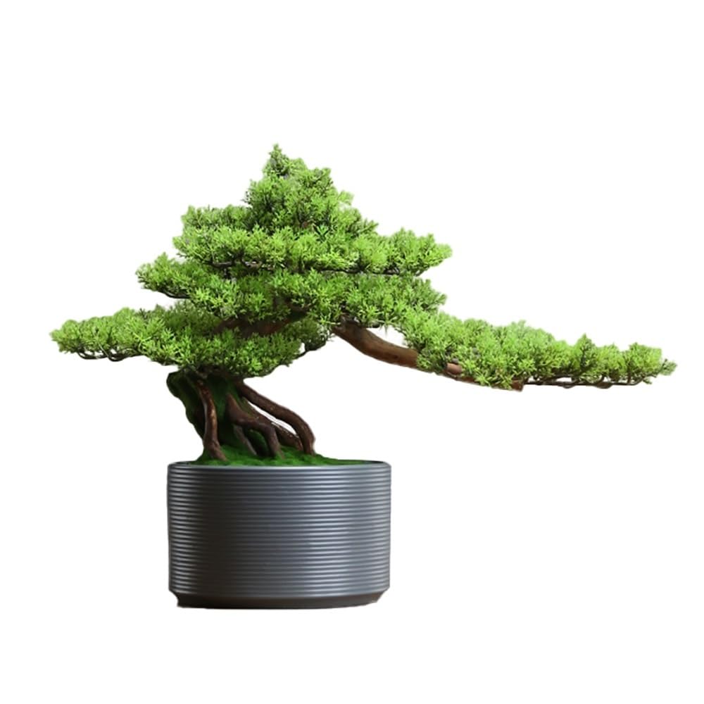 Bonsai artificiel entretien zero plante interieur pour salon sombre