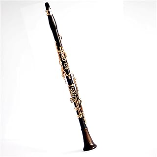 Golden Clarinet Gstudent Beginner Musical Instrument Clarinet Universal Clarinet for Beginner