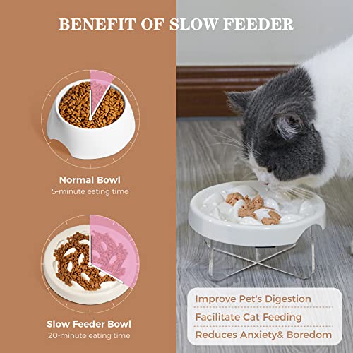 Slow Feeder Bowl For Cats And Small Dogs,Cilkus Fish Pool Design, Fun Interactive Bloat Stop Puzzle Feeder Bowl Healthy Eating Diet Made Of Melamine Food Grade Material Dishwasher Safe #TOP2