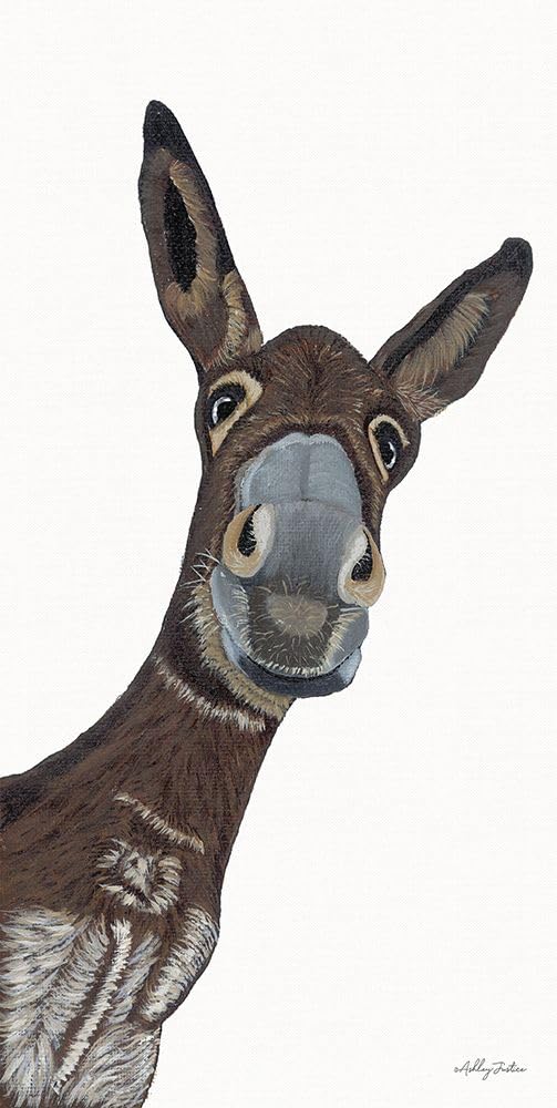 Amazon.com: Hey There Donkey Poster Print - Ashley Justice (18 x