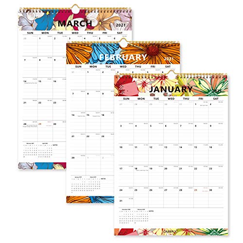 Cabbrix 2020-2021 Year Monthly Wall Calendar, Home Schooling Plannr for 2020-2021, 17 x 12 Inches, Wirebound, Office and Family Schedule - Thumbnail 4