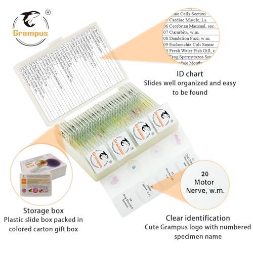 Image of 30 Prepared Microscope Slides with Specimens for Kids Students - Animal Microscope Slide Sets for Biological Lab, Children's Science Education, Homeschooling