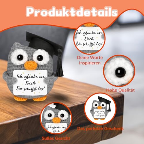 ZXJLWR 8.5 cm Hoch Motivationsgeschenke, Glücksbringer Prüfung, Viel Glück Geschenke, Eule Kuscheltier, Ich Bin Stolz Auf Dich Geschenk, Weiterführende Schule Geschenk