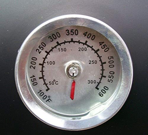 D&L Barbecue a carbonella 56510 per affumicatore, barbecue a carrello, griglia con affumicatore AWZ