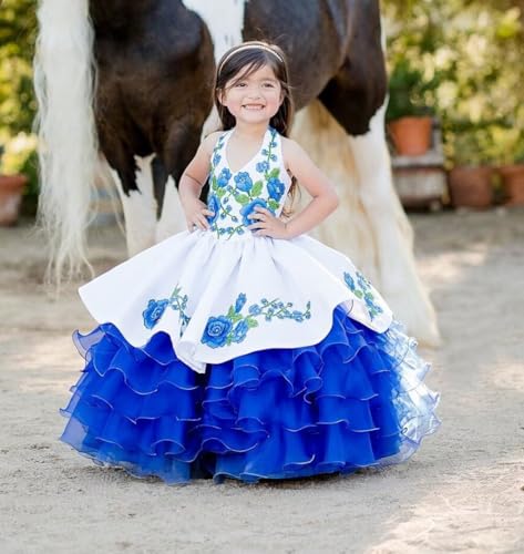 Halter Unique V Neck Ball Gown Royal Blue 3D Floral Flower Pattern Flower Girl Dress for Toddler Kids White4