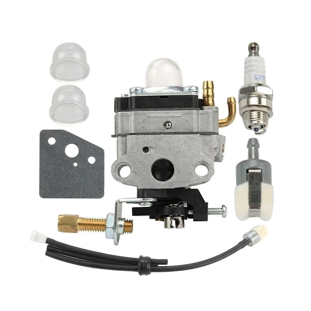 Kit filtre à carburant 139F avec durite pour réparer les fuites d'essence du FG100