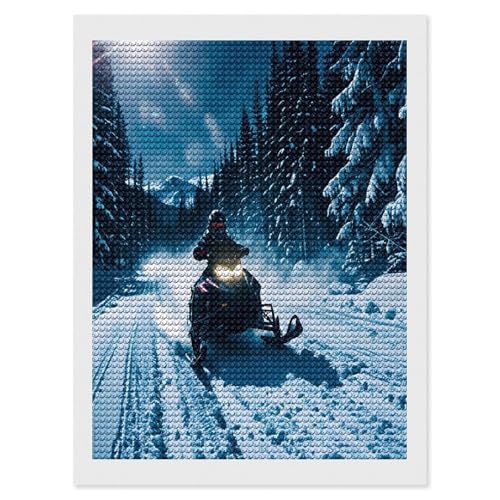 Kits de arte de diamantes antiestrés FekiLoot con lienzo de nieve completo