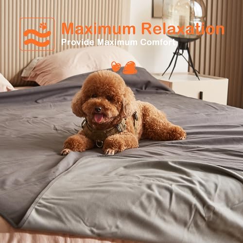 Kritter-Planet-Waterproof-Love-Bed-Blanket-Reversible-Furniture-Protector-Couch-Sofa-Cover-for-Dogs-Waterproof-Bed-Blanket-Pad-for-Adults-Splash-Squirt-Blanket-for-Bed-Washable-Queen-Size