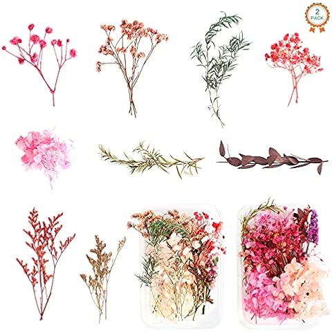 2 Boxes Real Dried Flowers Natural Dry Flowers Leaves Colorful Real Dried Flower Plant DIY Crafts Materials Dried Floral Decorations For Resin Crafts Candle Making Gift Card(16-20 Random Kinds) Cover