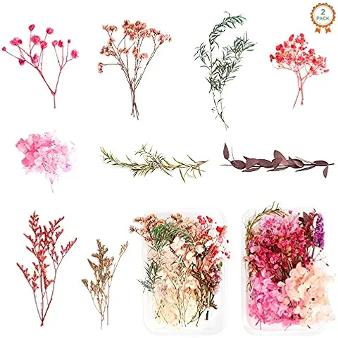 2 Cajas Flores Secas Prensadas Naturales Cover