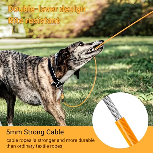 Heavy-Duty Dog Tie-Out Cable Runner System for Yard & Camping, 50/100/200ft with 10/15ft Pulley Line, Supports Dogs Up to 250lbs (Orange, 50FT) - Image 3