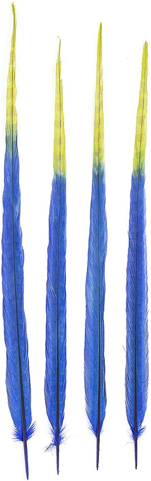 ZUCKER Multicolored Ringneck Pheasant Tail Feathers - 5pc Dyed 20-24" Long Blue & Green
