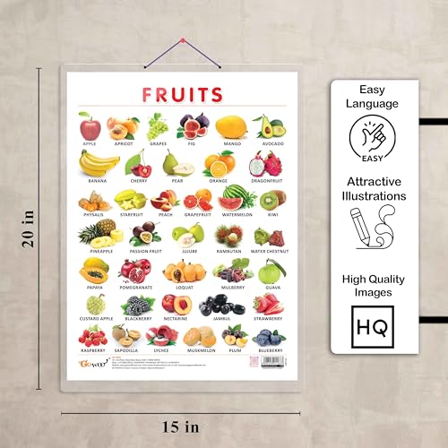 Image of FRUITS CHART HARD LAMINATED | Colorful Orchard: Durable Laminated Fruits Reference Chart