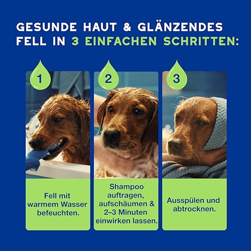 DOUXO Skin & Coat SPA – Ultra-Safe* Welpen-Shampoo, 250 ml, reinigt, spendet Feuchtigkeit und schützt das empfindliche Fell von Welpen, hinterlässt das Fell besonders weich, hautfreundliche Formel