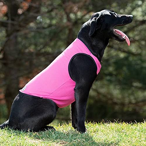 Get the Terrain Dog Cooling Vest Cooling Fabric Powered by Coolcore