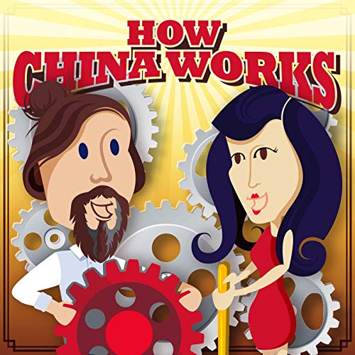 How China Works by Brendan Davis and Yingying Li