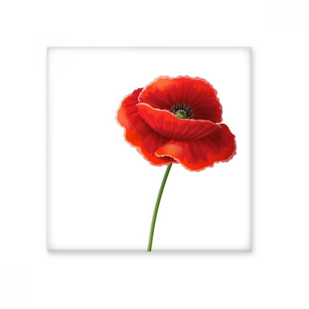 Carreaux de céramique cuisine et salle de bain motif fleur coquelicot rouge art