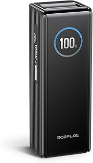 EcoFlow Rapid Power Bank (25,000mAh, 170W) Portable Charger with Dual 140W USB-C Ports for Multi-Device Charging, Compatible with Phones, Laptops, and More(Black)