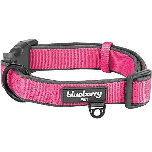 Blueberry Pet 2 Colors Soft & Comfy Made Well Classic Neoprene Padded Adjustable Dog Collar, Muted Red-Violet, Medium, Neck 14.5