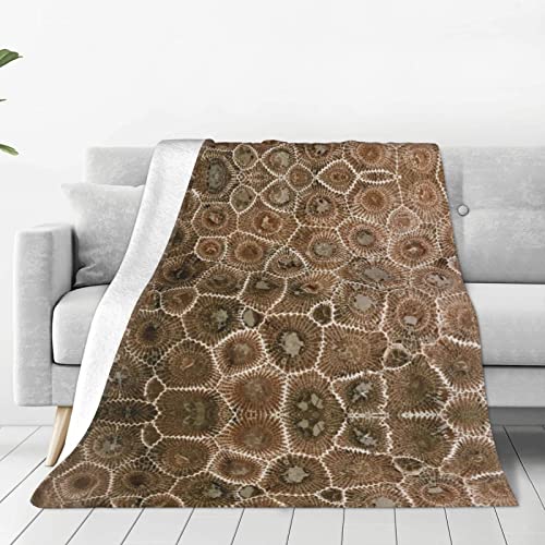 Couverture chaude pour lit idéale pour vos soirées d'hiver