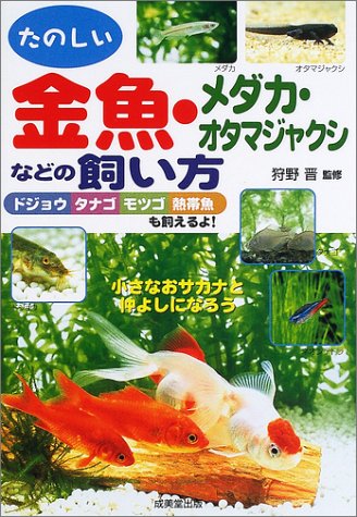 たのしい金魚 メダカ オタマジャクシなどの飼い方 小さなおサカナと仲よしになろう 晋 狩野 本 通販 Amazon