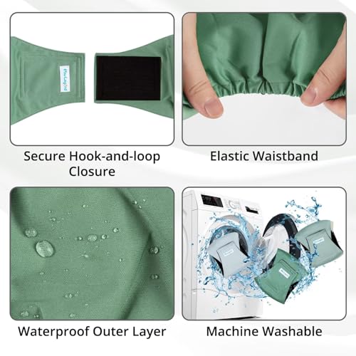Image of Paw Legend Washable Dogs Diapers Male Dog Belly Bands for Male Dogs Diapers Reusable Puppy & Doggie Diapers Male (3 Pack, X-Large)