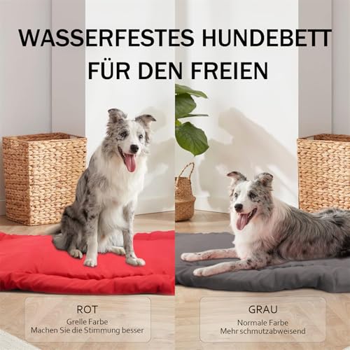 Matelas pour chien imperméable pour en finir avec les mauvaises odeurs
