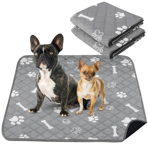 Image of PatiencET Washable Pee Pads for Dogs, 36'' x 41 inch Reusable Puppy Pads with Super Absorbent, 2 Pack Large Potty Buddy with Waterproof Bottom for Pet Training, Housebreaking and Incontinence