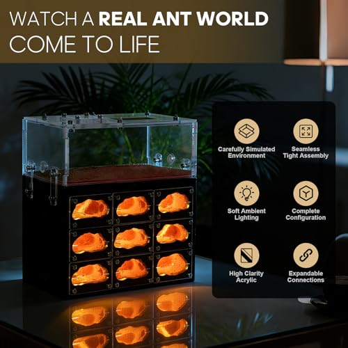 Ant Farm Acrylic Box with Built-In Lights and Replacement Lights, Expandable Indoor Ant Habitats Perfect for Learning, Observation, or Unique Gift