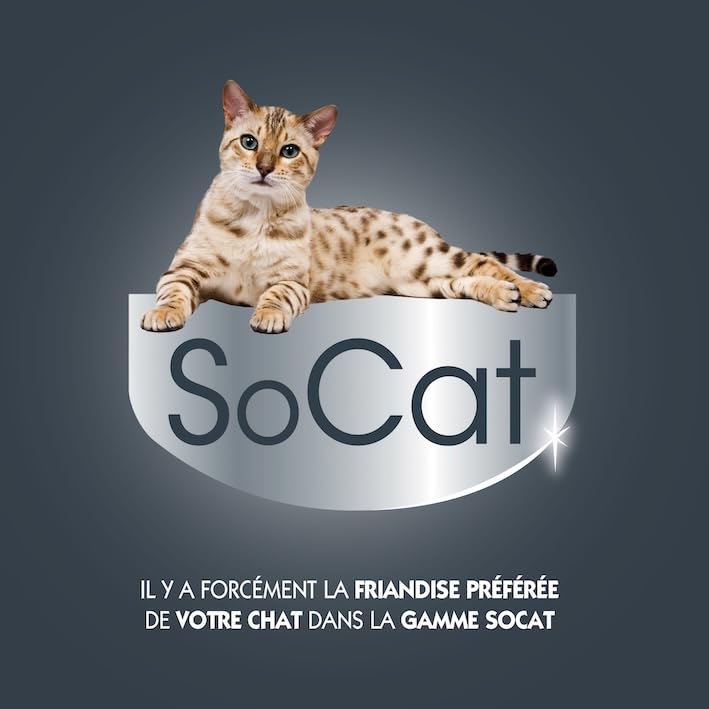Riga - Socat Lick Quid - Friandises pour Chat - Snack Humide Au Thon - Crème A Lécher - Riche en Protéines - sans Céréales - Faible en Graisses - Récompense Idéale - Maxi Pack - 90 g