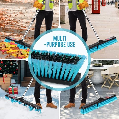 image for Nolopau 24