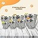 Advance Pet Products 2 Quart Heavy Duty Stainless Steel Flat Side Bucket | Durable Food & Water Pail for Dogs, Cats, Kennels, Cages and Critter Crates | Multi-Purpose Bucket