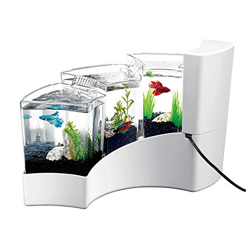 Aqueon Betta Falls Kit White Buy Online In United Arab Emirates At Desertcart Ae Productid 6549133