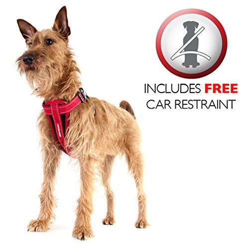 EzyDog Hundegeschirr Chest Plate – Sicherheitsgeschirr mit Sicherheitsgurt-Adapter – Reflektierendes, Gepolstertes Geschirr für kleine, mittelgroße und große Hunde (XS, Schwarz)