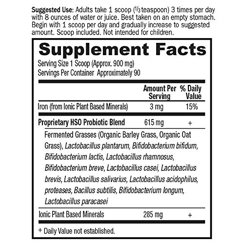 Image of Garden of Life Whole Food Probiotic Supplement - Primal Defense HSO Probiotic Dietary Supplement for Digestive and Gut Health, 2.85oz (81g) Vegetarian Powder