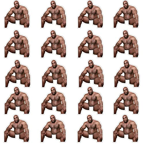 Image of 20Pcs Funny Barry Wood Light Switch Sticker Decals，3''x3.4'' Waterproof Vinyl Stikers for Laptop Window Wall Bumper Helmet, Joking Prank Tease Artifact Stickers for Adults（Barry Wood Sitting On Bed）