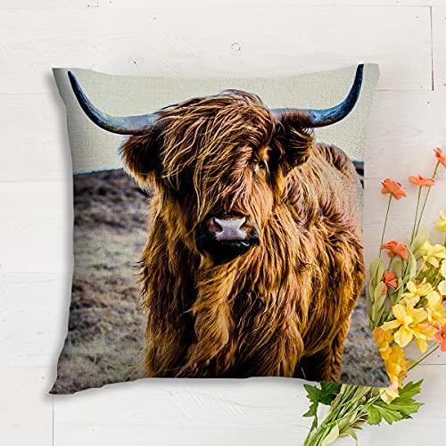 Binati Cow Decorative Throw Pillow Cover Case Highland Cow Cattle Ox Horn Hairy Cotton Linen Pillow Cases Square Standard Cushion Covers For Couch Sofa Bed 18X18 Inch (Set Of 2) #TOP2